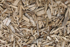 biomass boilers Cocklake
